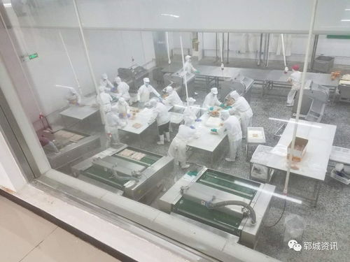 紅盾護企 食品生產(chǎn)科在行動，保障電熔鎂生產(chǎn)安全